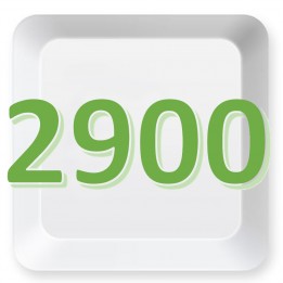 2900方案