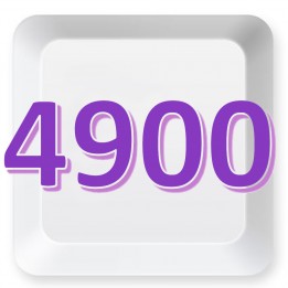 4900方案