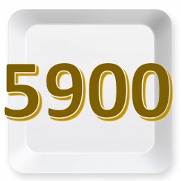 5900方案